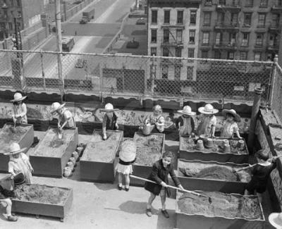 Jardin sur un toit a NY | Rooftop garden in NYC